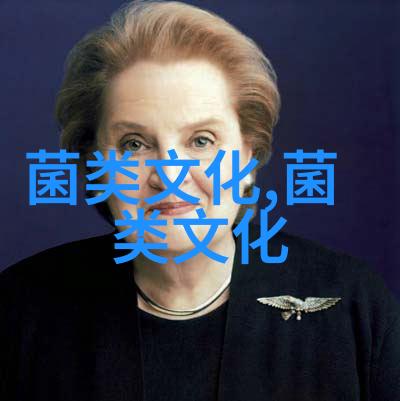 小小黑木耳竟藏着这些秘密