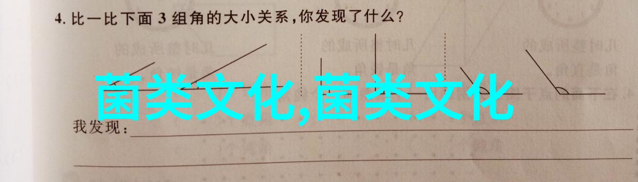吉林辉南县新鲜羊肚菌采摘上市