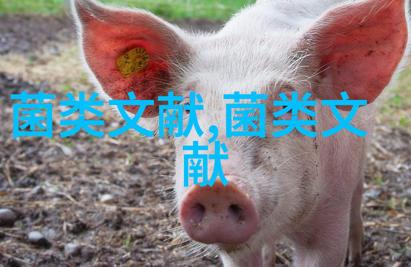 保护云南野生菌资源推进野生菌旅游产业开发
