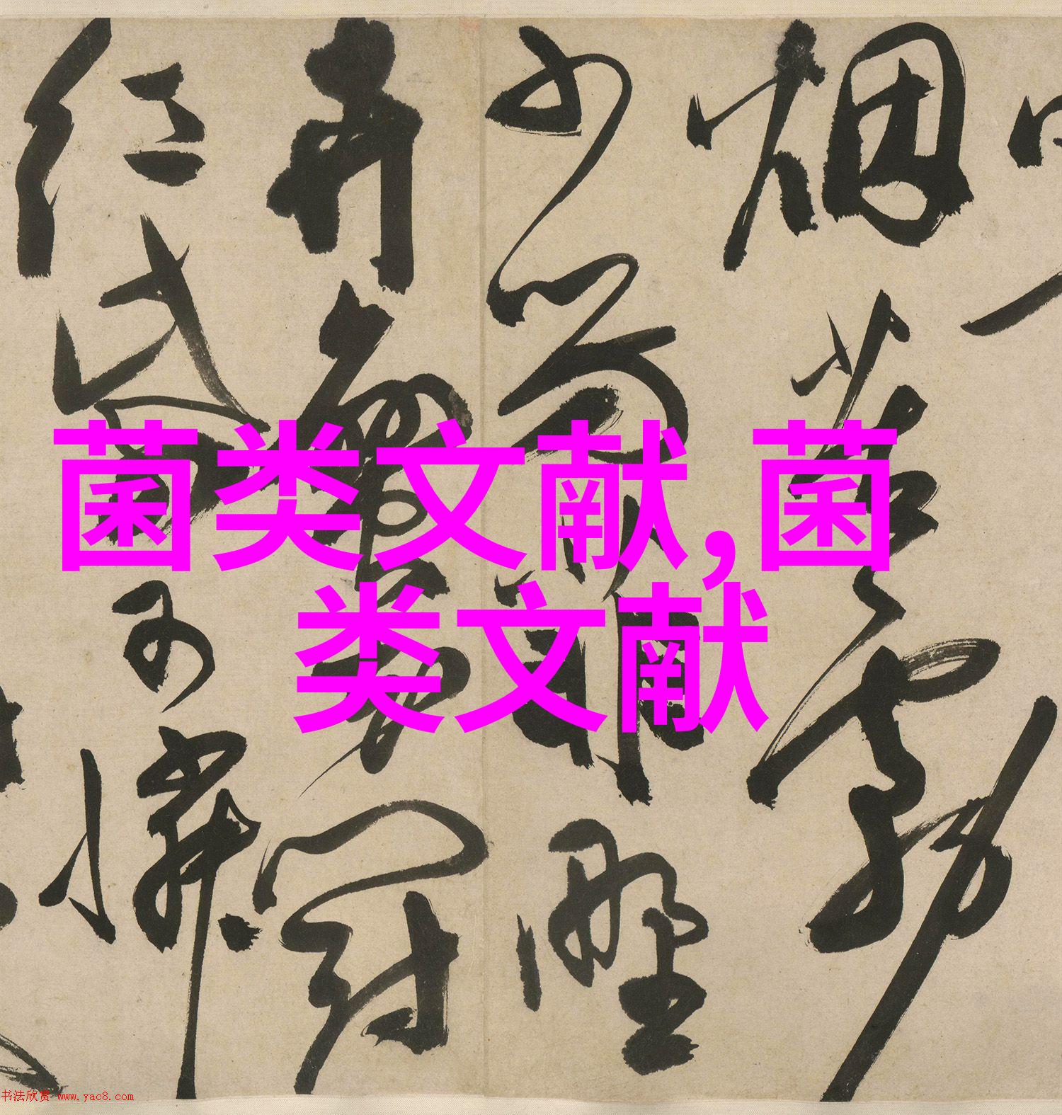 桦褐孔菌液体深层发酵菌株及配方优选研究