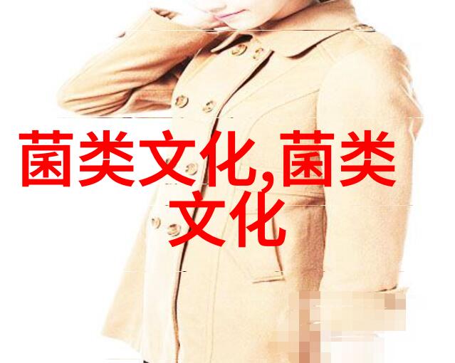 福建将乐县推动特色食用菌产业提质增效