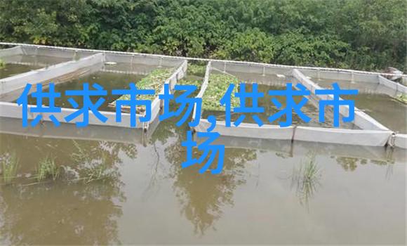 食用菌厂房对外招商