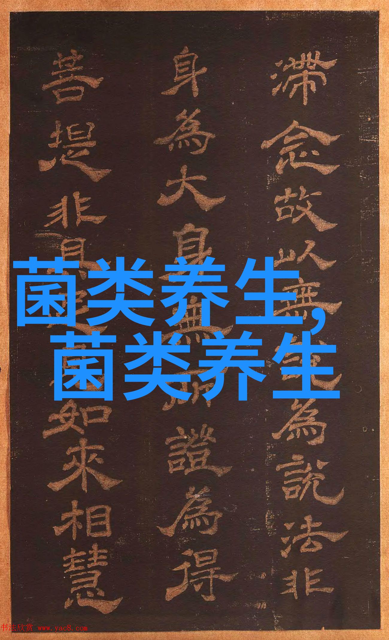 女性吃黑木耳有什么好处