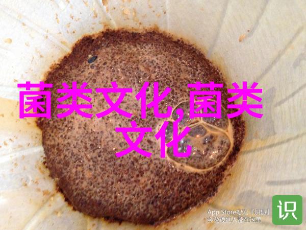 蘑菇课菌香秘语
