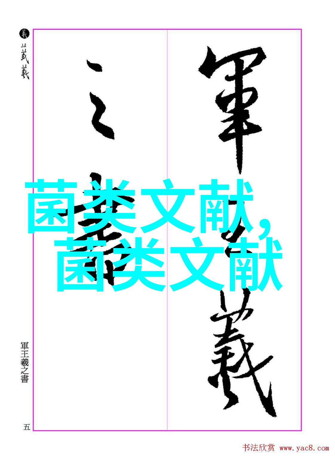 适宜甘蔗渣栽培的杏鲍菇菌株筛选