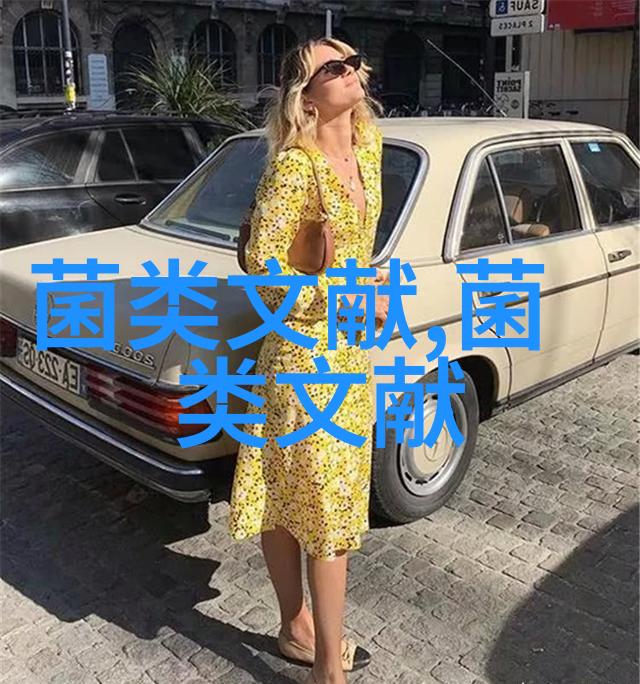 北方地区长根菇大棚地栽周年生产标准化技术