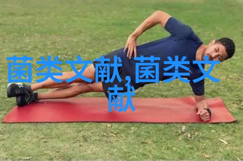 云南食用菌产业生产流通和消费研究