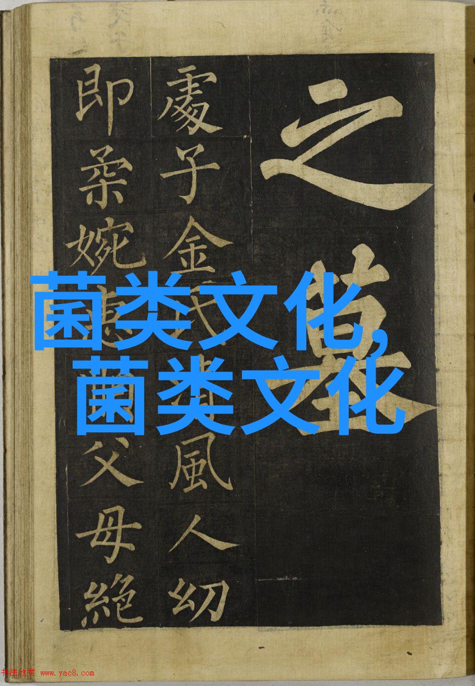 河南舞钢小菌菇撑起大产业 羊肚菌奏响乡村振兴丰收曲
