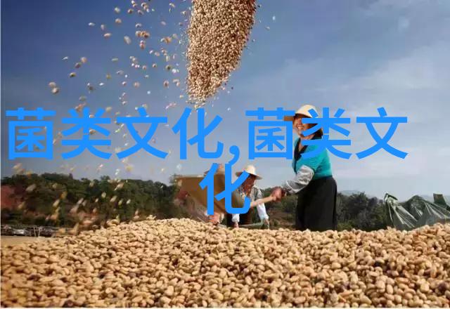 鲁迅与猴头菇