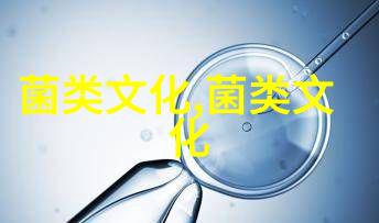 鸡肉丝菇