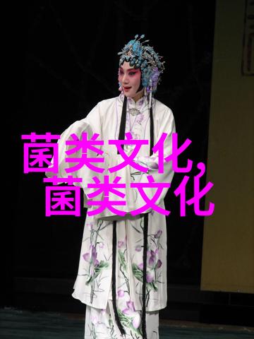乌蒙天菌酒开创贵州菌酒新赛道