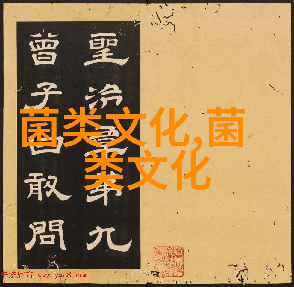 茯苓饼的功效