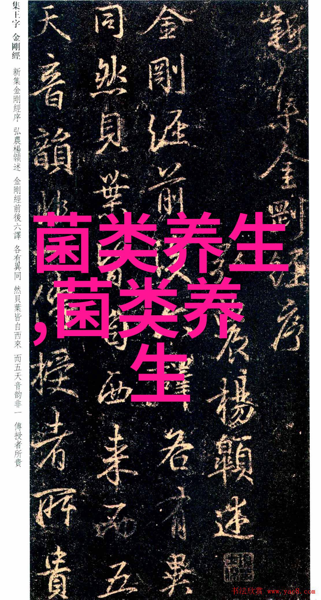 灵芝酒的功效与作用