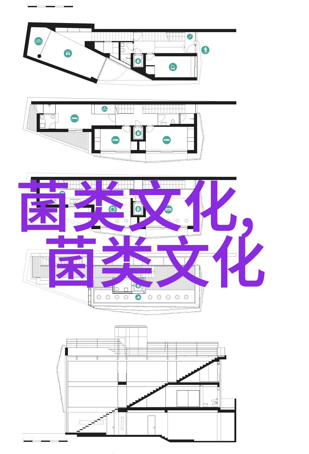 竹荪有白妃之美誉