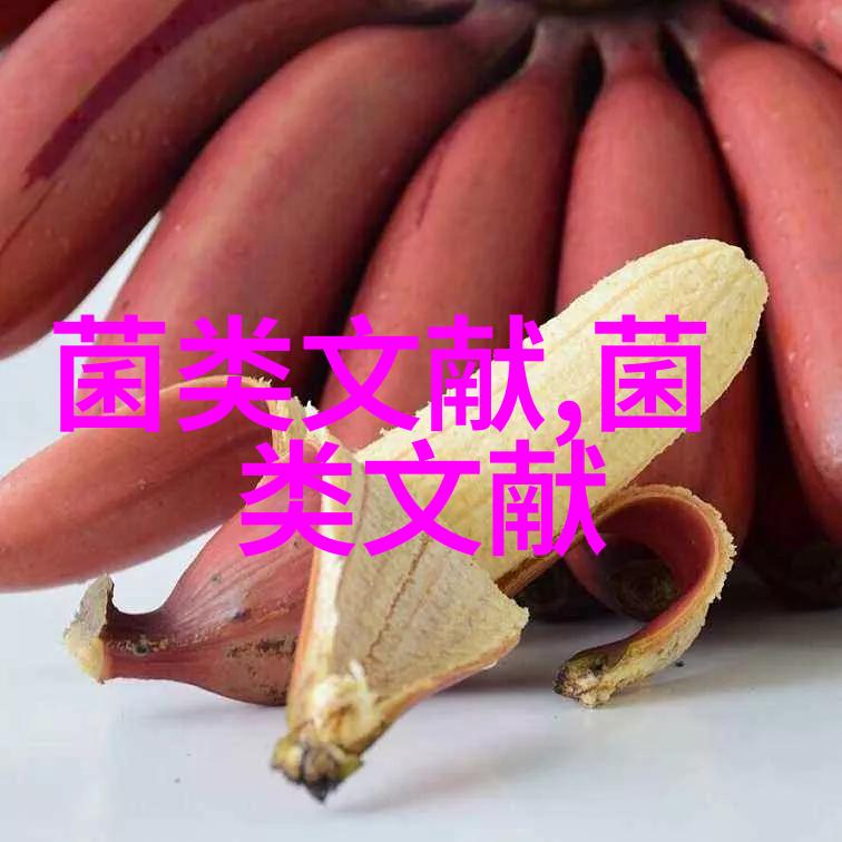 食用菌市场前景看好发展稳定