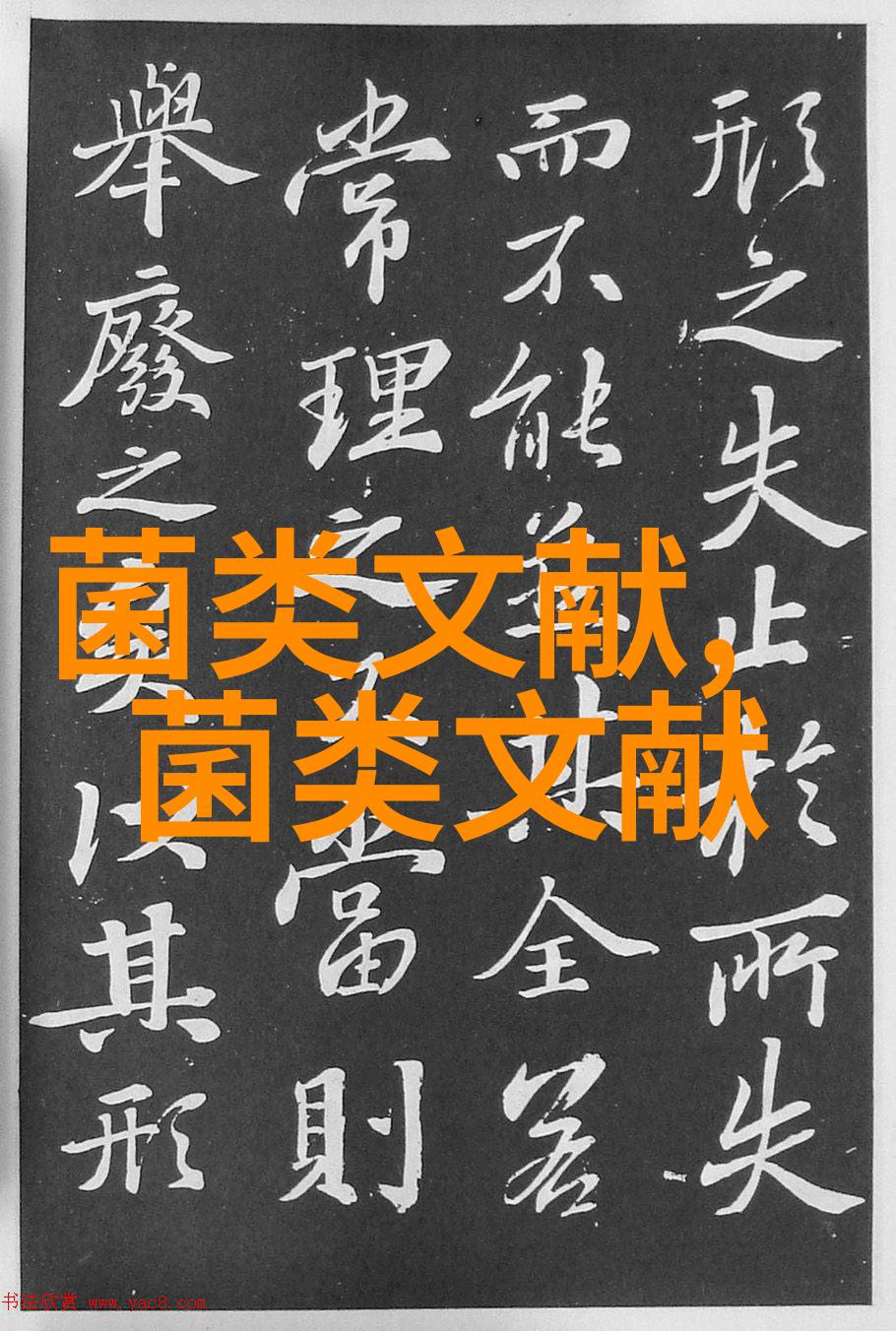 双孢蘑菇新型基质与不同覆土材料栽培试验