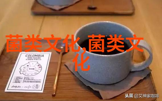 葡萄酒与松茸之味