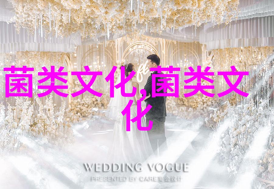 研究发现蘑菇中的这种成分能延缓大脑衰老