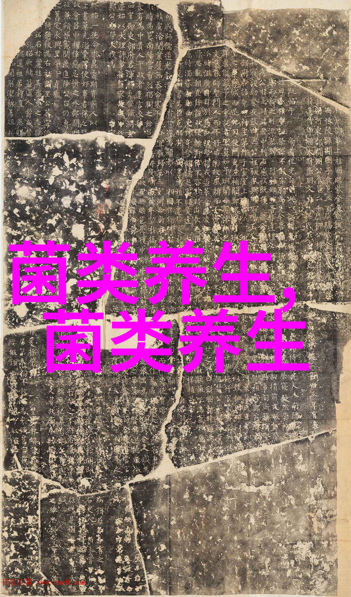 饮用灵芝孢子粉应选择什么溶剂
