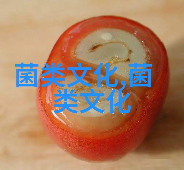鸡枞 童年的记忆和味道