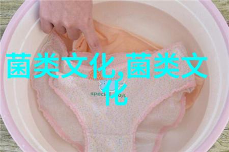 茯苓如何帮助养生