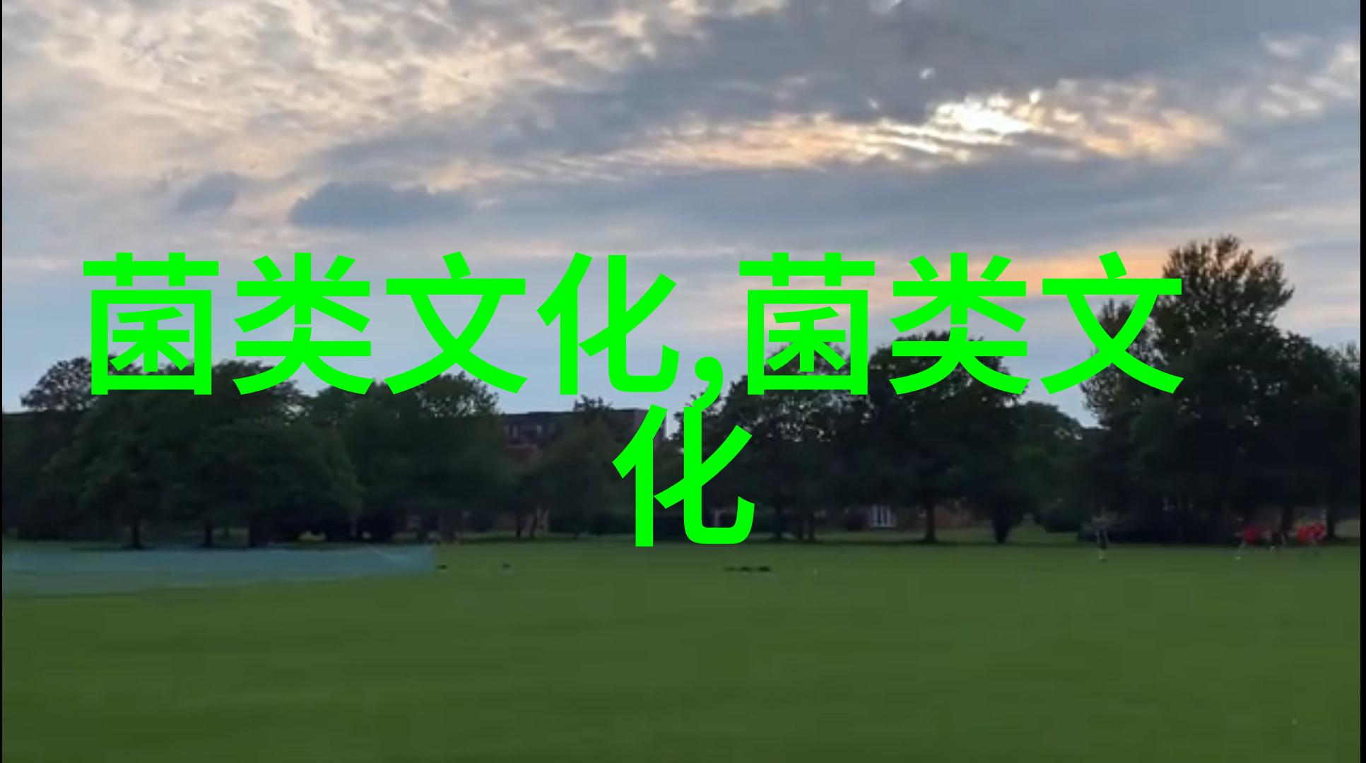 华人纷纷赶办年货 新加坡菇类海参价格上扬