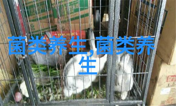 珊瑚状猴头菌有什么活性成分
