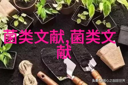 金针菇褐变问题初探