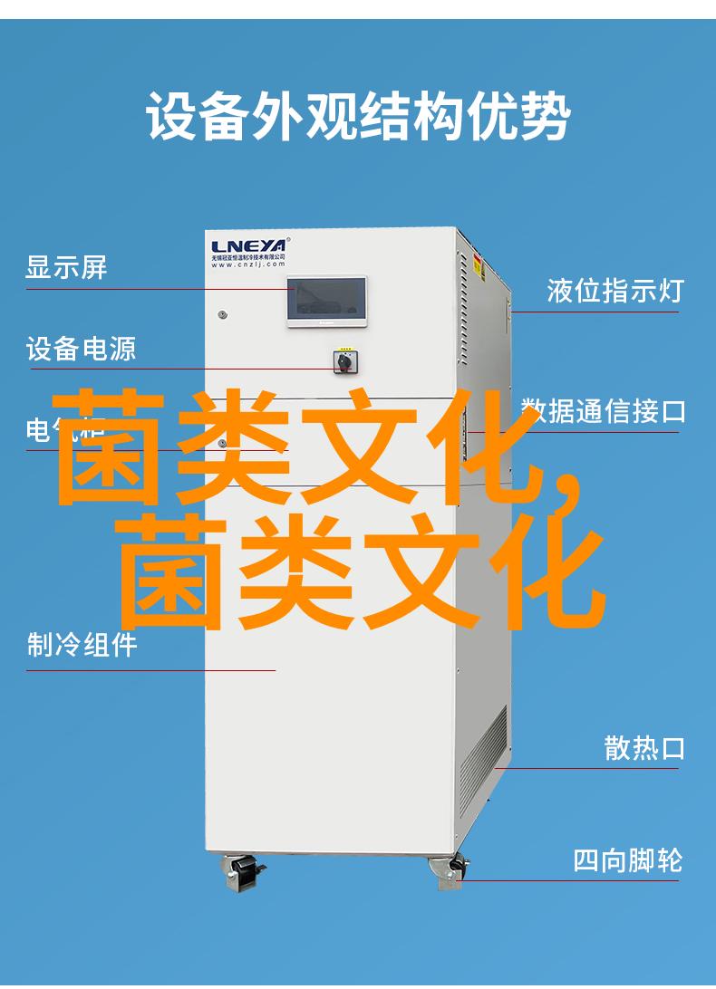 2025三农工作怎么干专家学者来建言