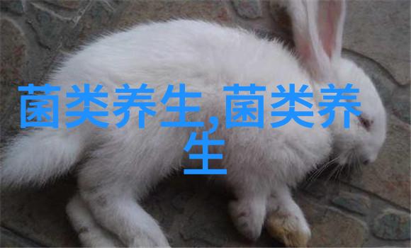 这种药用菌有什么功效和食用禁忌