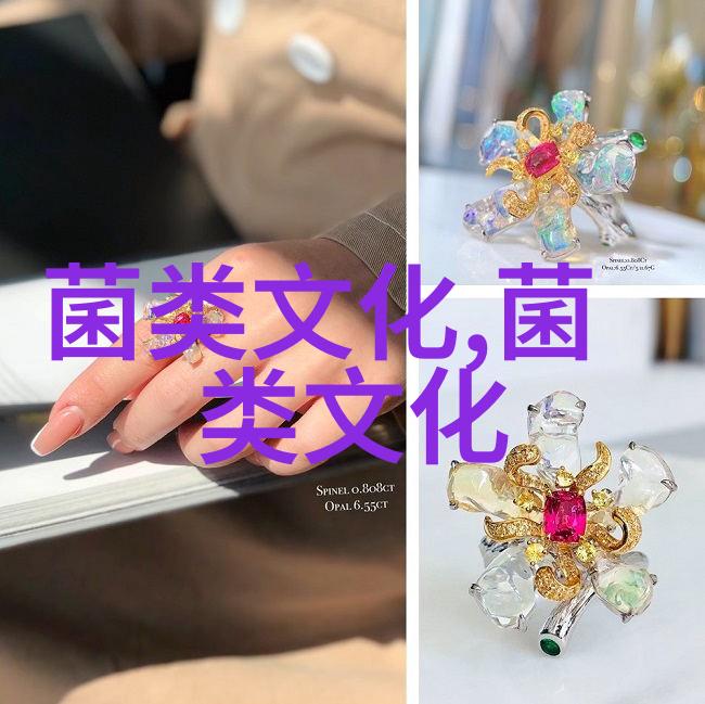 这里的香菇历史可追溯至宋朝