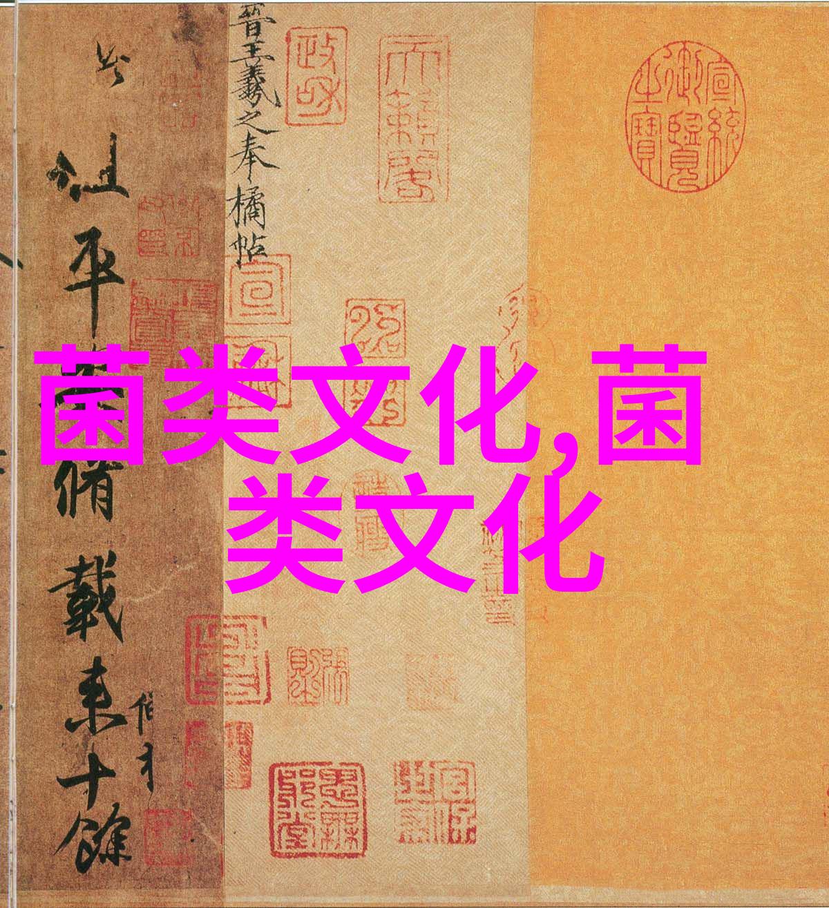 湖南泸溪小菌菇撑起大产业 小车间带动大就业