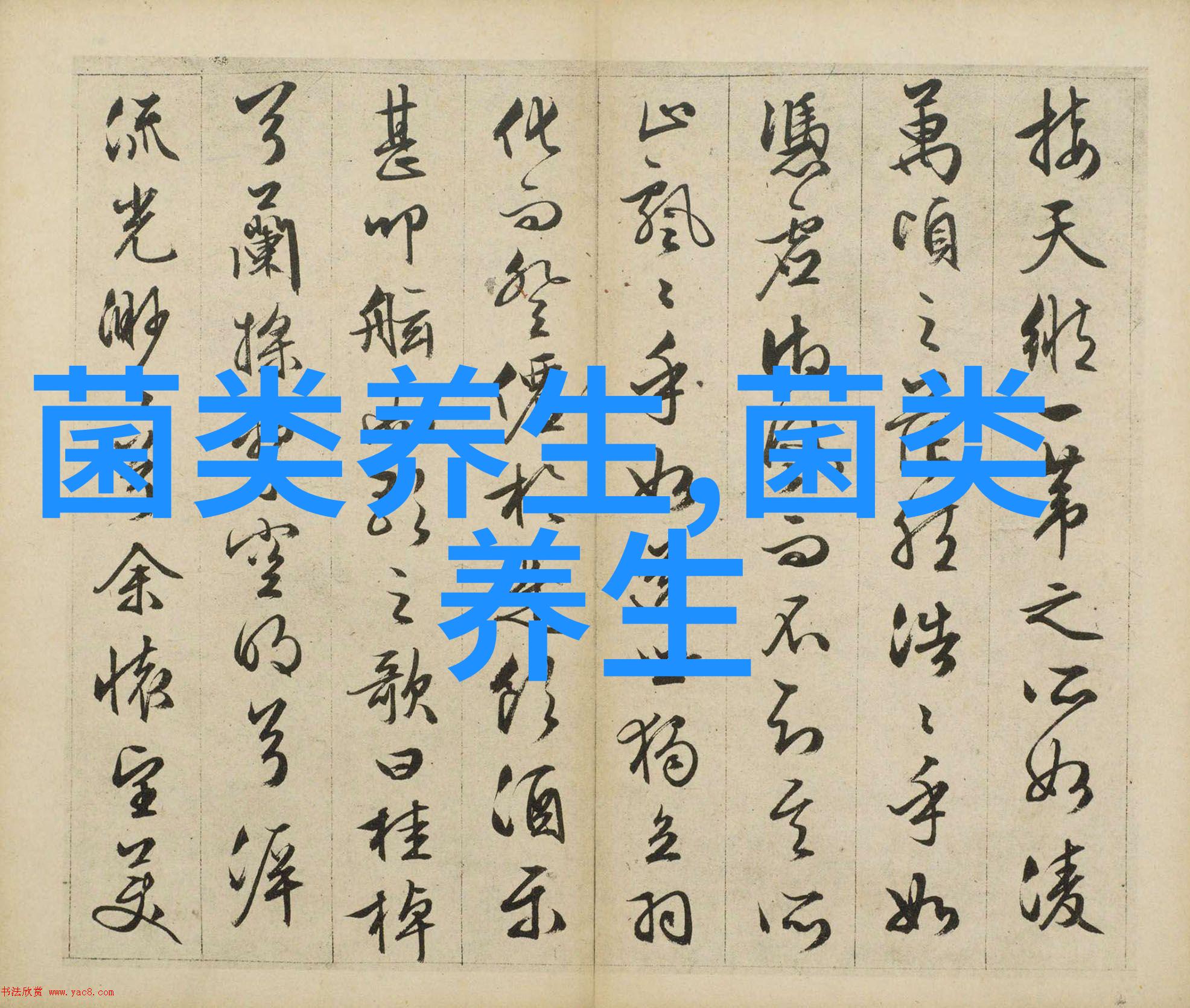 冬意渐浓多吃菌菇更养生