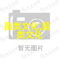 菇菌文化