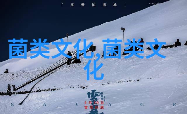 金针菇的这些文化你了解吗