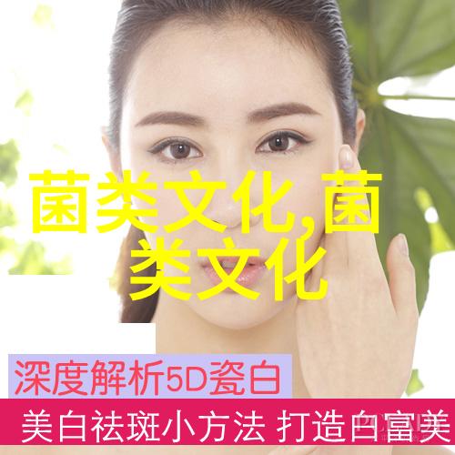 明清以来张北口蘑身价倍增