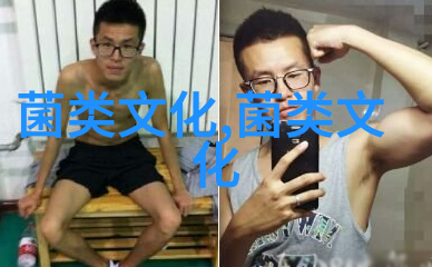 关于灰树花的历史这些您了解吗