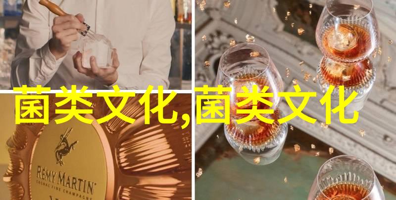 辽宁省部署并启动食用菌产业提质增效行动